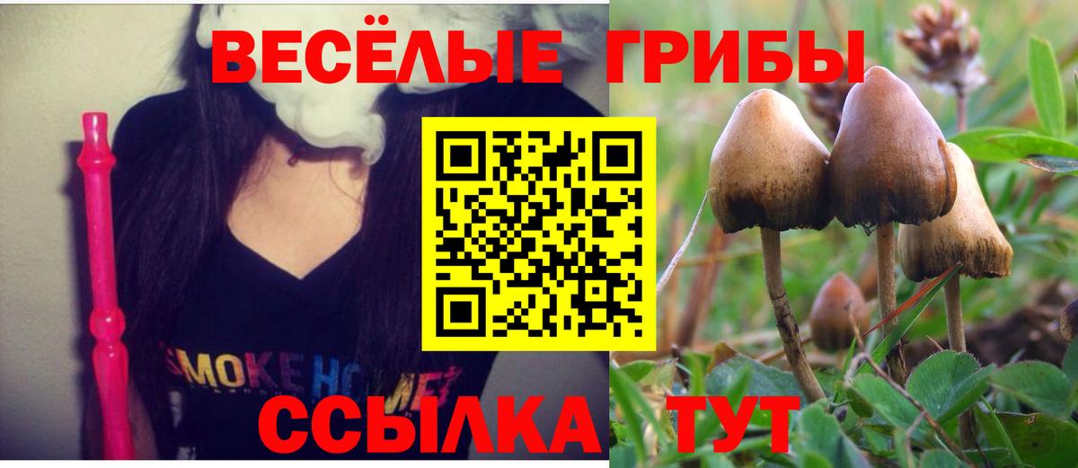 Галлюциногенные грибы GOLDEN TEACHER  как найти закладки  Псилоцибиновые грибы мухоморы  Татарск  Вход с VPN 
