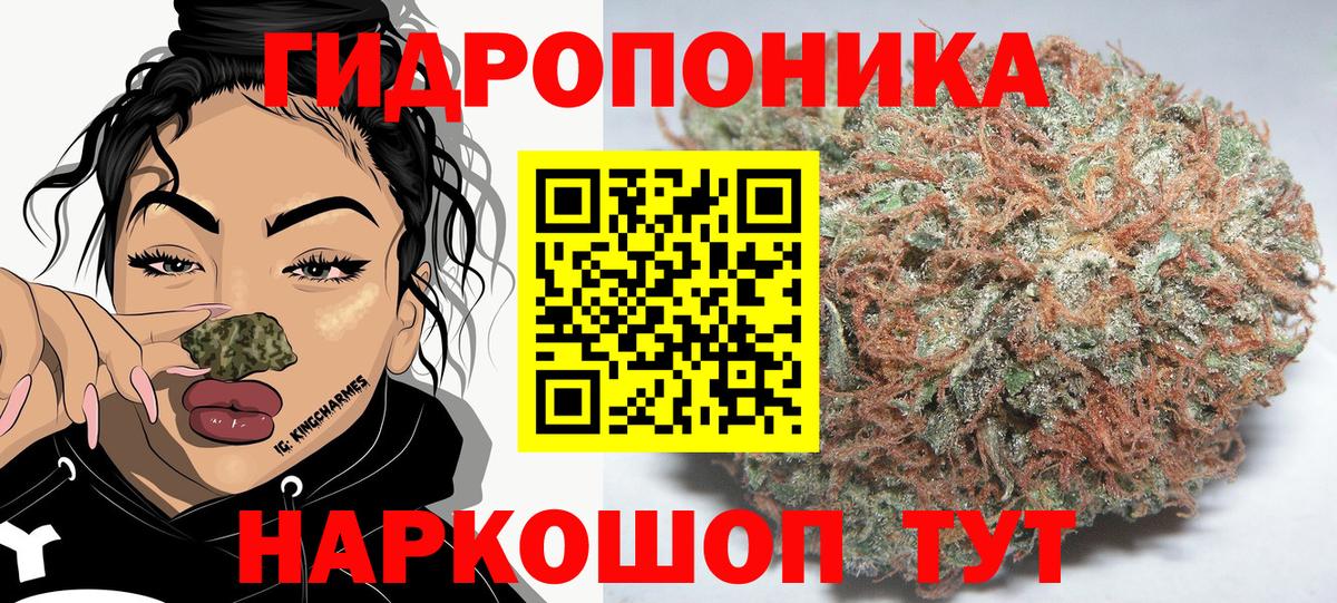 Бошки Шишки планчик  Вход с VPN  Бошки марихуана White Widow  Татарск  Канабис планчик  Бошки марихуана конопля 